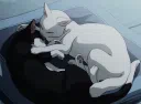 pls give me a will to live [18+] server banner