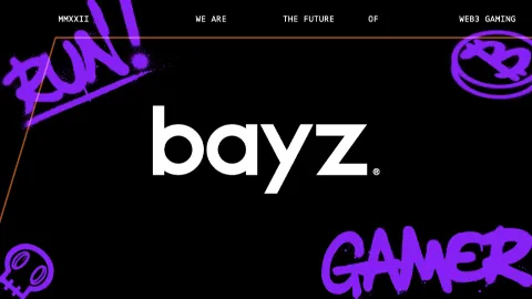 bayz banner