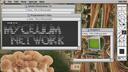 ⧉ Mycelium Network ₊/cyan1de ¹⁸⁺ Banner