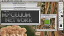 ⧉ Mycelium Network ₊📟/cyan1de ¹⁸⁺ server banner