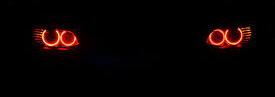 MR Reza Banner