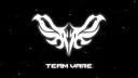 Team Vare banner