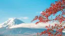 Japanese Study Club Discord server banner