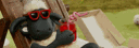 banner