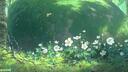 ｡˚mushroom forest Banner