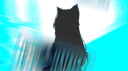 The Sack💫 server banner