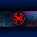 Spider-Society Banner