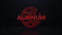 AUBNUM E-SPORTS Banner