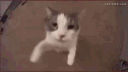 Downbad Hangout Server server banner