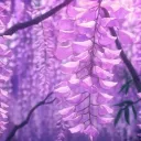 Anteiku Cafe server banner