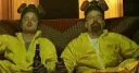 The DBS (The Dookie Butt Stirred) banner