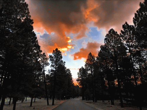 Another Way, Our Own Discord server banner