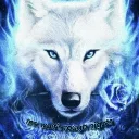 Mr. Wolf's Chill Corner Discord server banner