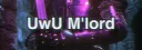 banner