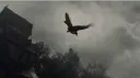 PAVYON banner