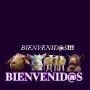 𝐄𝐋 𝐑𝐄𝐁𝐀Ñ𝐎 Banner