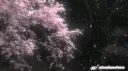 Alone Hometown™ | Socialize﹒Chilling﹒Hangout﹒Gaming﹒Giveaways banner