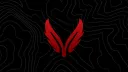 Team Valor banner