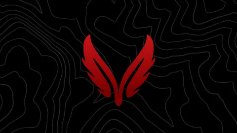 Team Valor banner