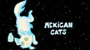 Mexican Cats Discord server banner