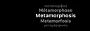 Metamorphosis#3594 banner