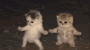 friends ♡ chill | emotes archive banner