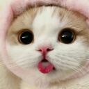 Sugar <3 Banner