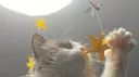 𝐏𝐲𝐫𝐨𝐀𝐳𝐫𝐚𝐞𝐥'𝐬 𝐜𝐨𝐯𝐞 server banner