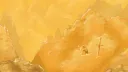 HOARD banner