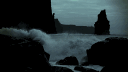 𝘏𝘰𝘳𝘯𝘦𝘵 𝘍𝘢𝘮𝘪𝘭𝘺 banner