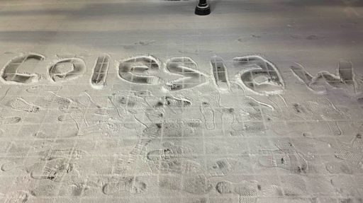 coleslaw Discord server banner