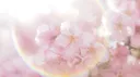 Sakura server banner