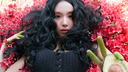 chaexcord Banner