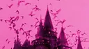 Nuggzcord banner