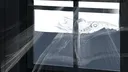 Every Last One Of Them banner