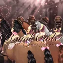 ✦﹑ Princess Flowers OS ⊹ banner
