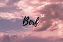 BERF Banner