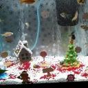 AQUARIUS PLANETS Banner