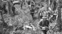 ANZAC Battalion banner