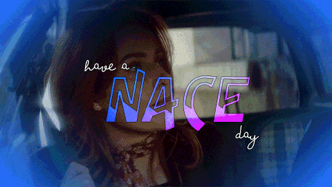 have a nace day banner