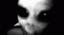 cryptidcore Banner