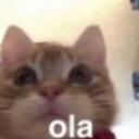 inkipinkiponki Banner