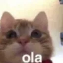 inkipinkiponki Banner