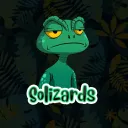 SOLizards banner