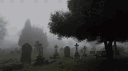Adored ♱ banner