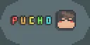 💎 • Pucho © Oficial Community banner