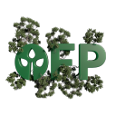 Open Forest Protocol Discord server banner