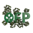 Open Forest Protocol Discord server banner