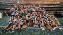 Geelong Cats Banner