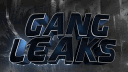 </Gang Leaks 🎗> banner